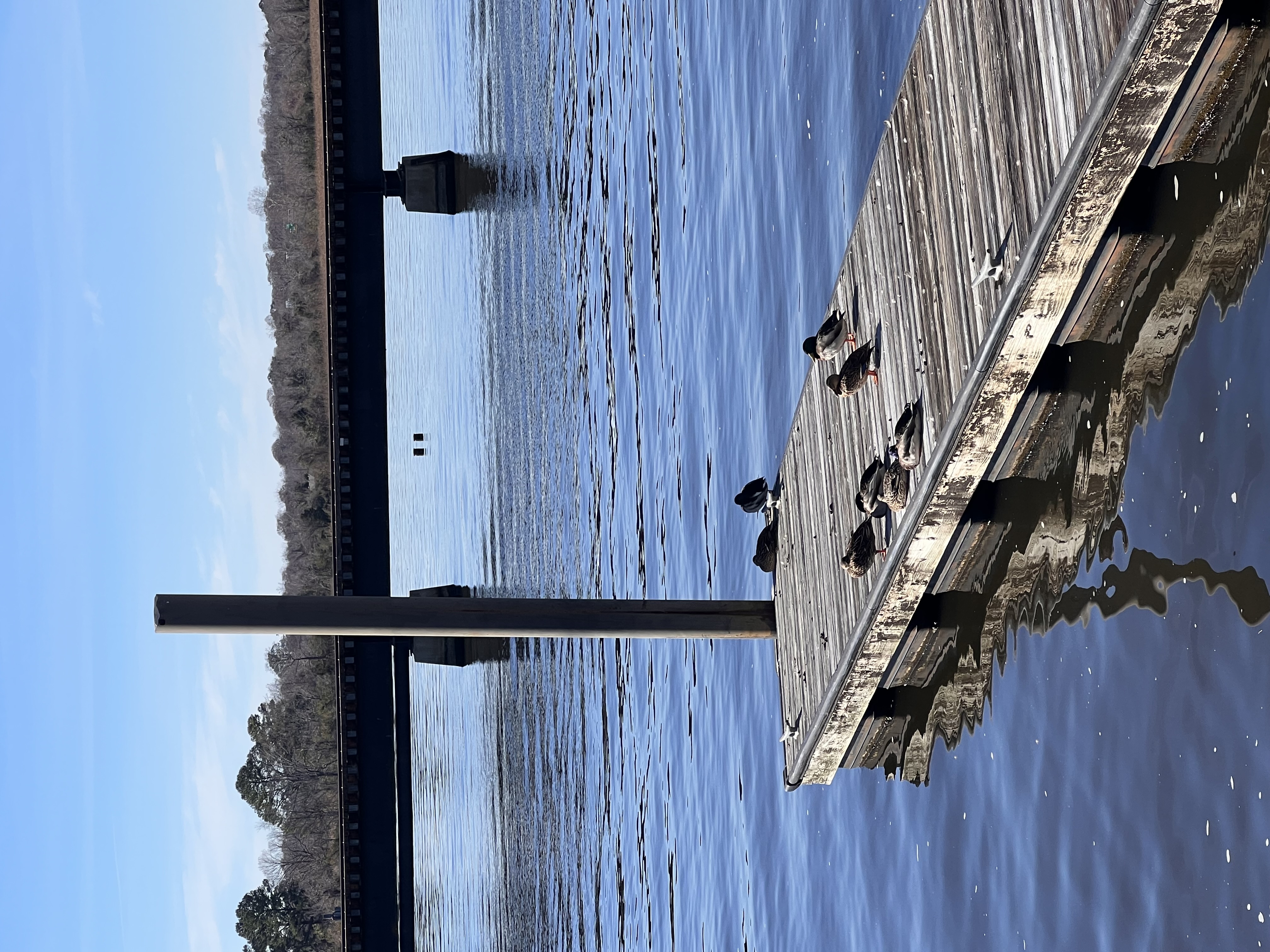 ./2023/01 - New Bern/IMG_6236.JPG